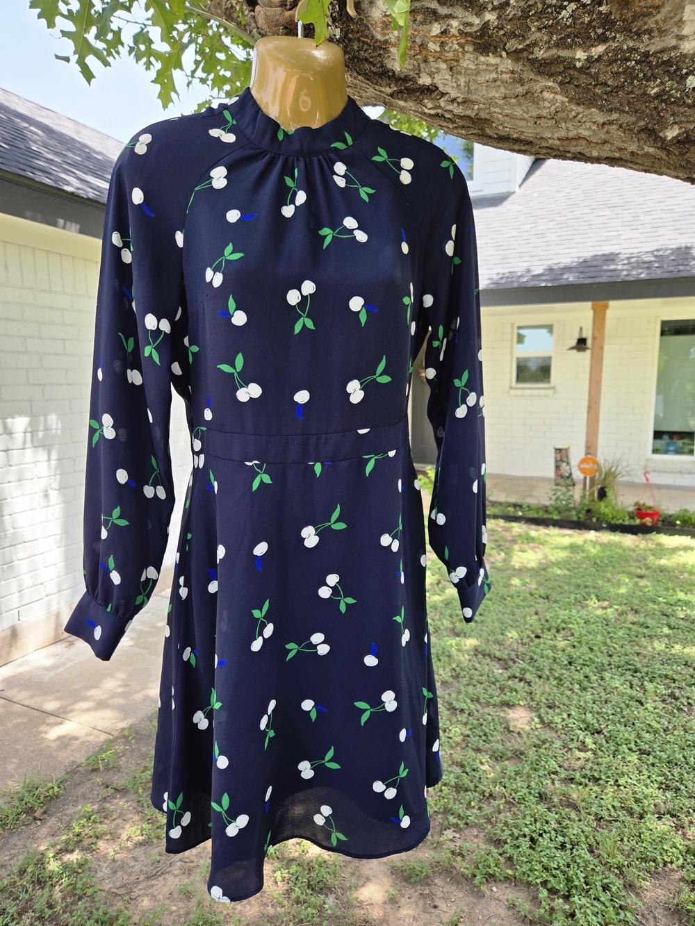 Banana Republic Cherry Print Blouson Sleeve Fit & Flare Dress Size 0